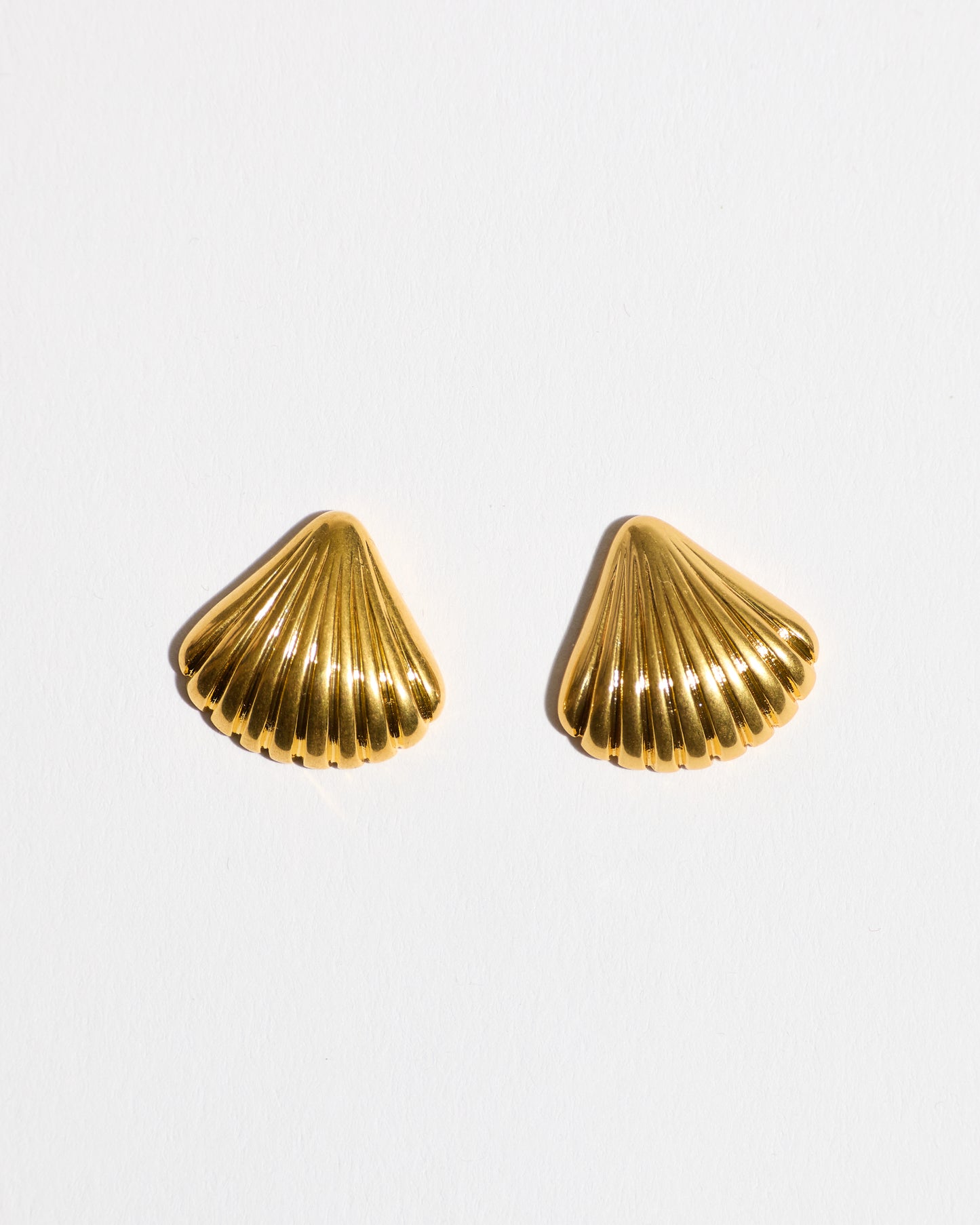 Shell Fan Earrings