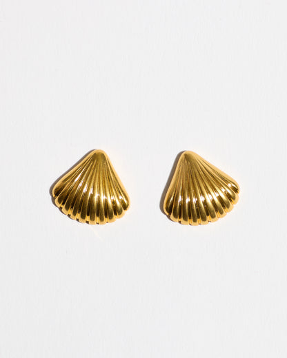 Shell Fan Earrings